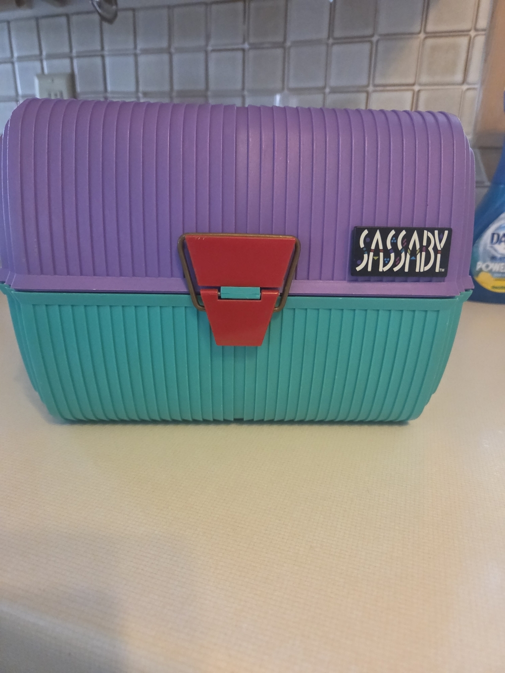 Retro Two-Tone Purple & Teal Cosmetic Case with Red Clasp